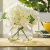Blooming Hydrangea in Vase