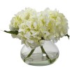 Blooming Hydrangea in Vase