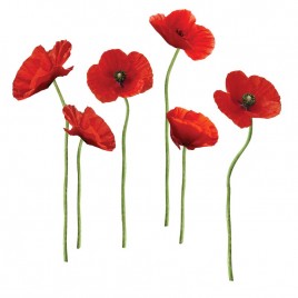 12 Piece Poppies Wall Decal Set